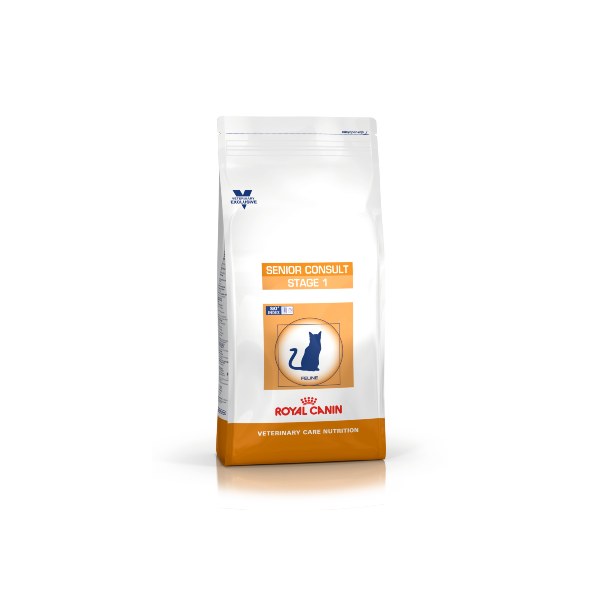 senior consult feline