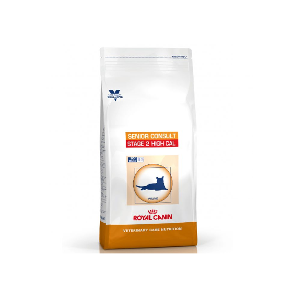 senior consult feline