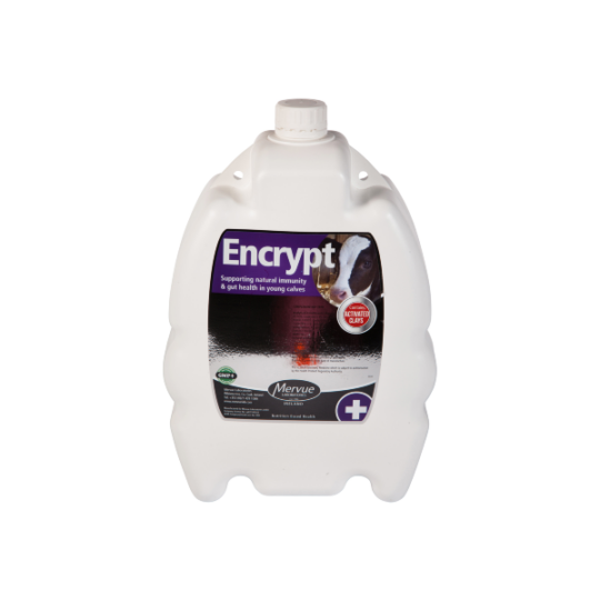Encrypt4.2L