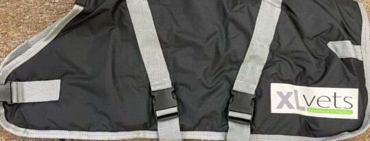 Calf Jackets XL vets