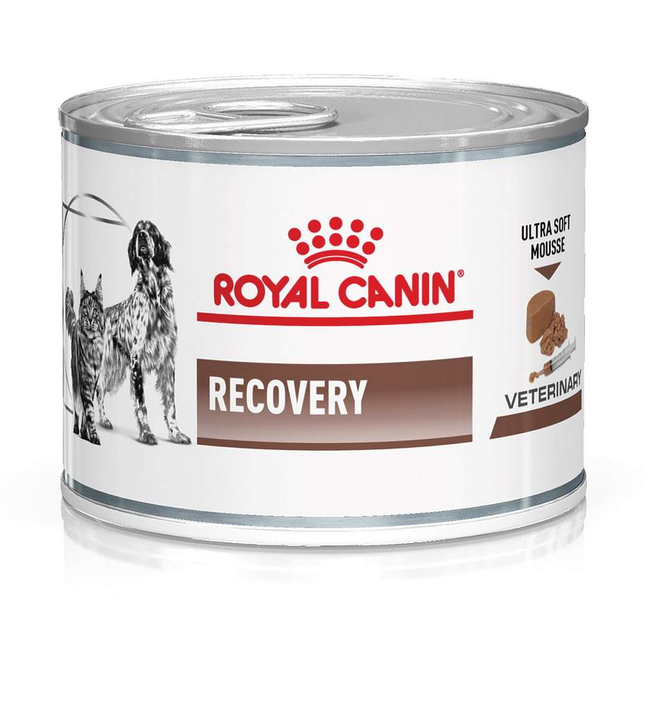 recovery canine feline