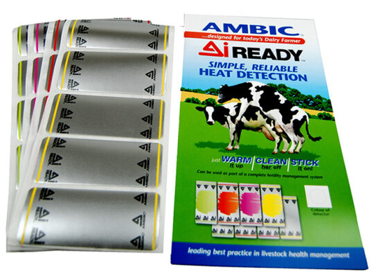 Ambic Scratch Cards 50 pack
