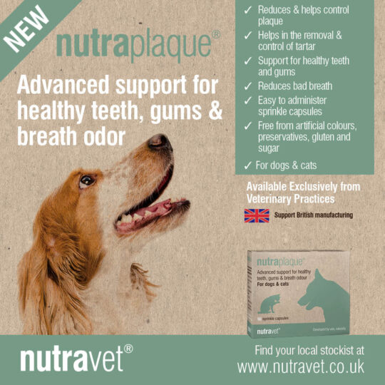 Nutraplaque Box of 60