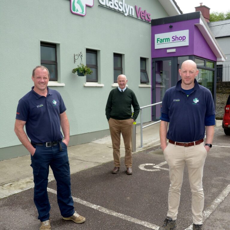 Kevin, Patrick and John Healy