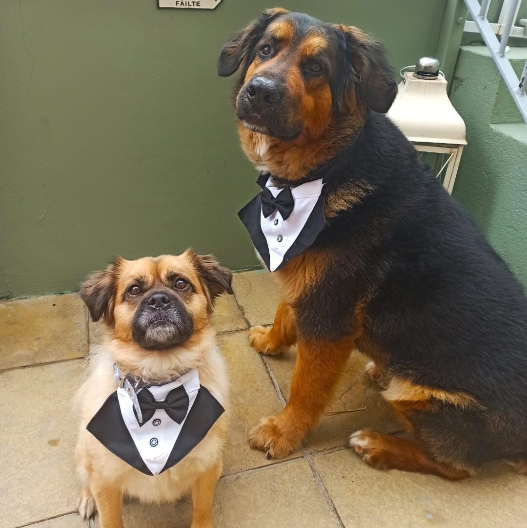 gus and paulie