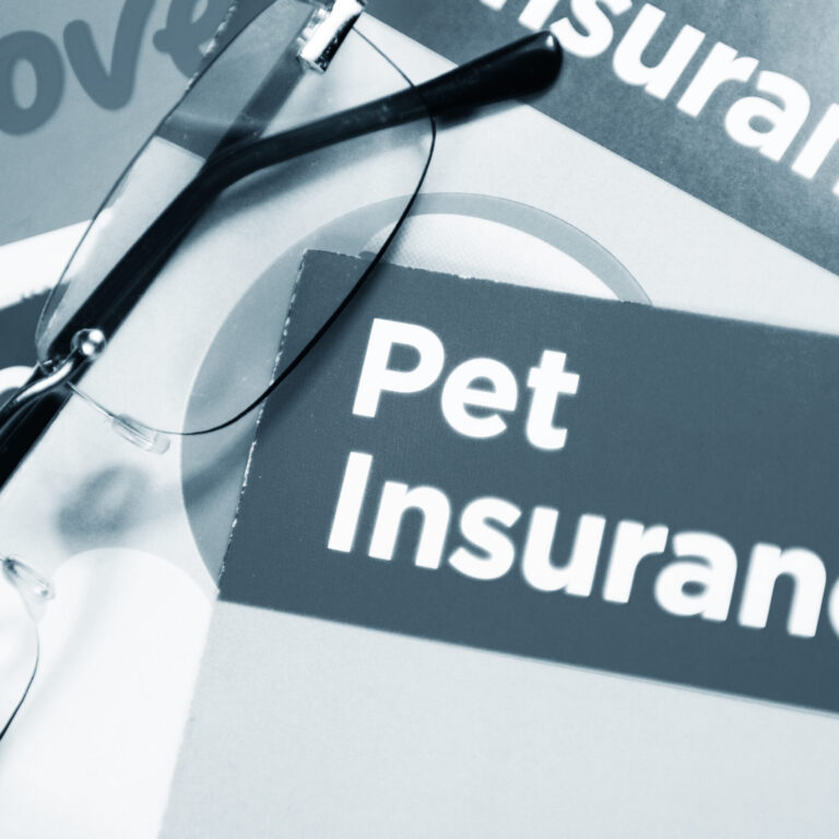 Pet insurance