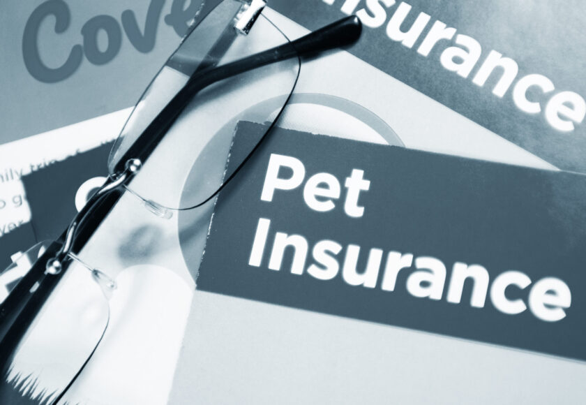 Pet insurance