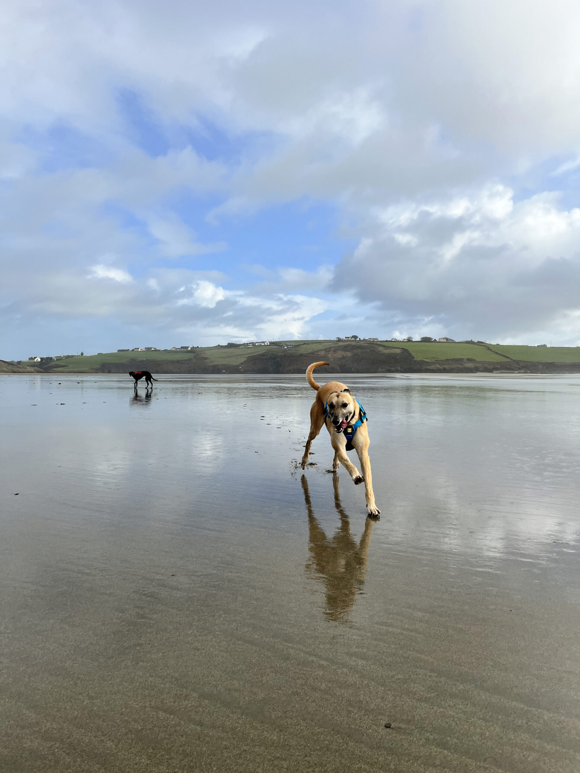 walks