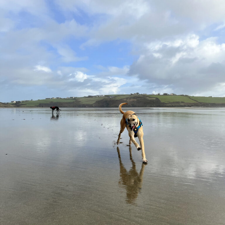 walks