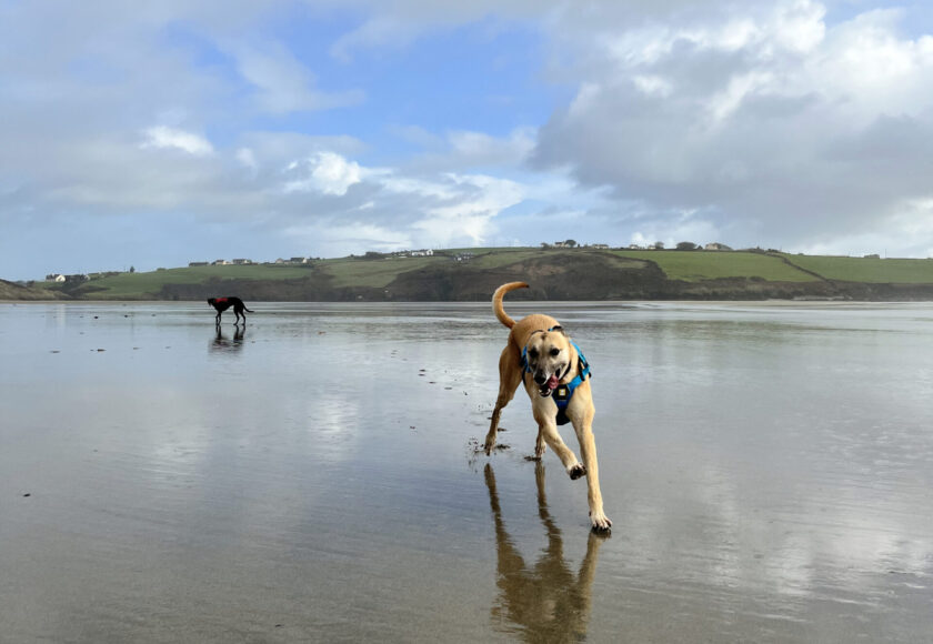 walks