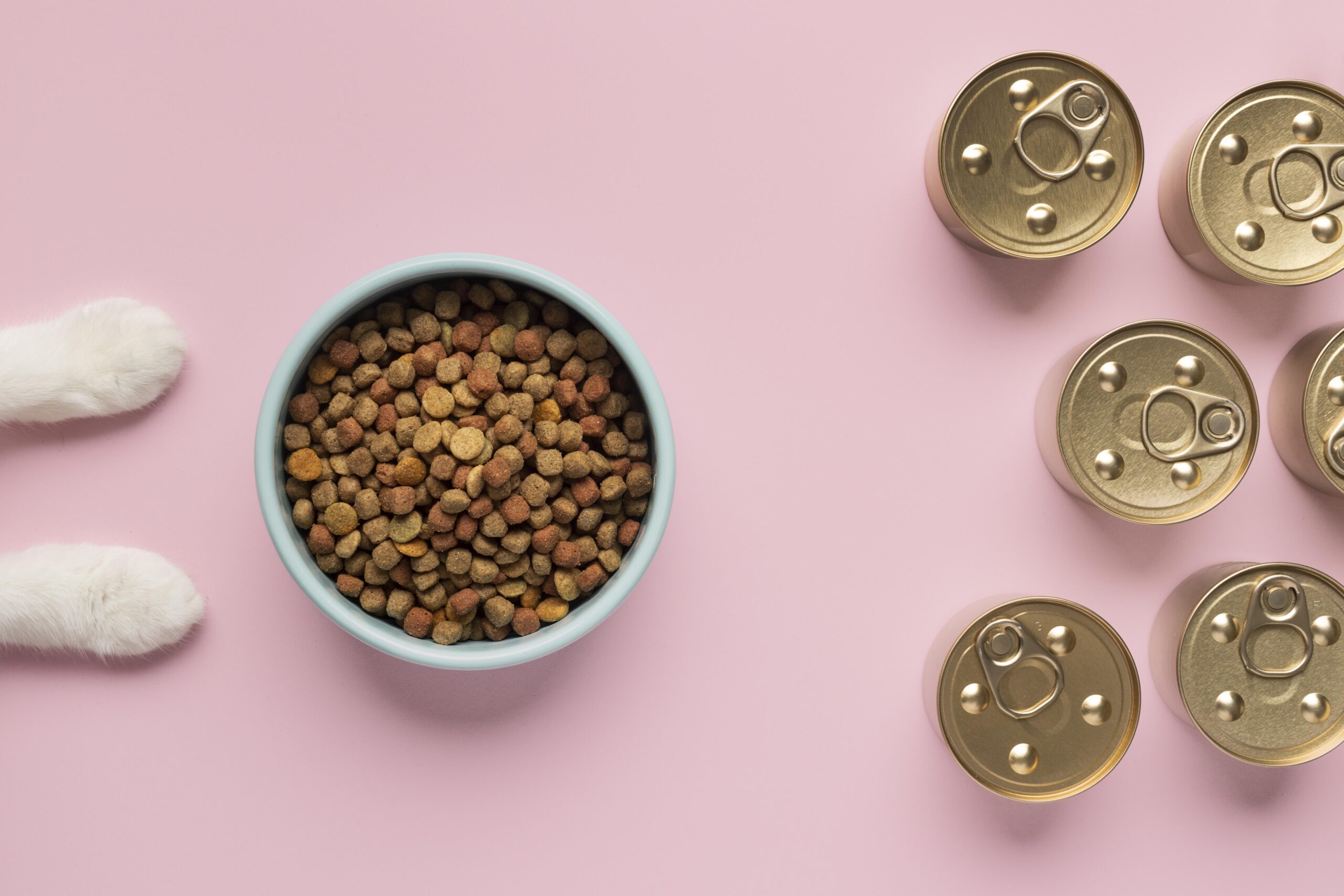 nutrition wallpaper