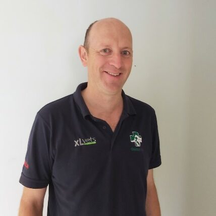 John Healy (Director)