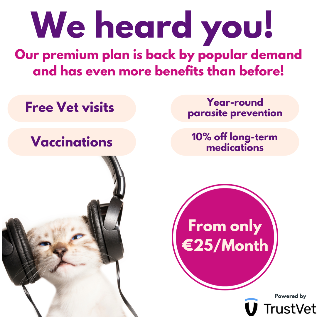 trustvet cat ad 2