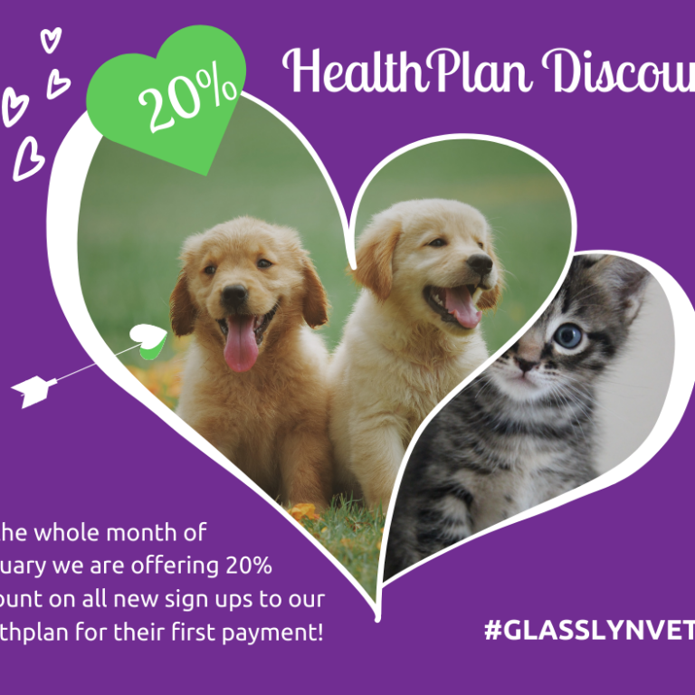 HealthPlan Discount!