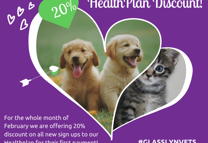 HealthPlan Discount!