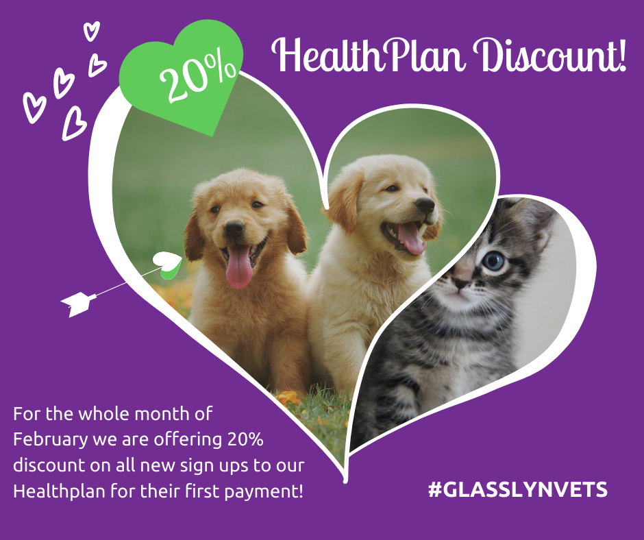 HealthPlan Discount!