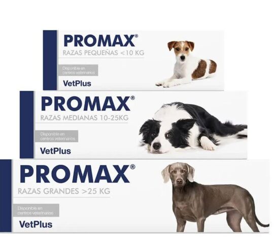 Promax Intestinal Support for Dogs