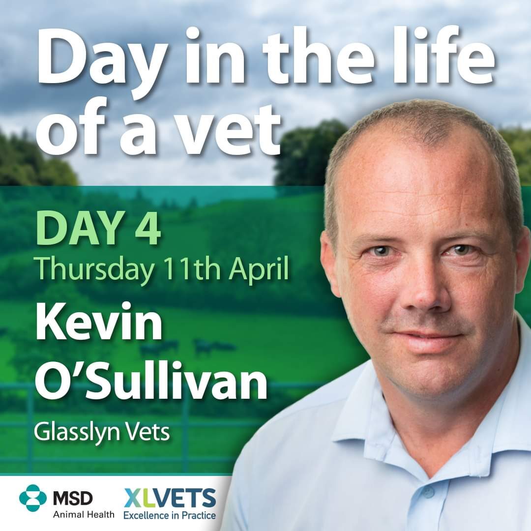 kevin day in the life