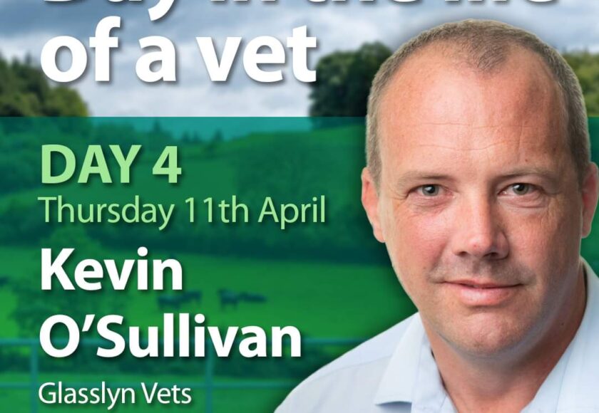kevin day in the life