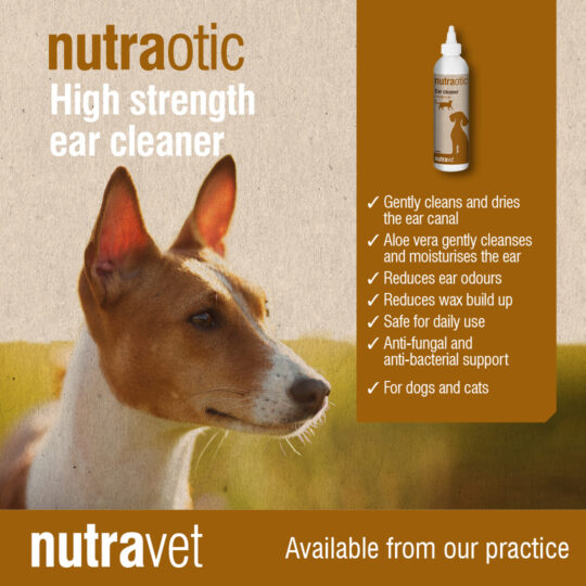 Nutraotic Ear Cleaner