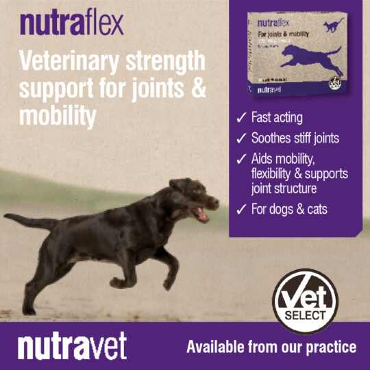 Nutraflex