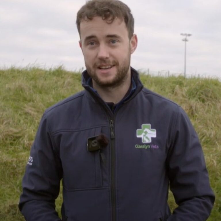 cathal