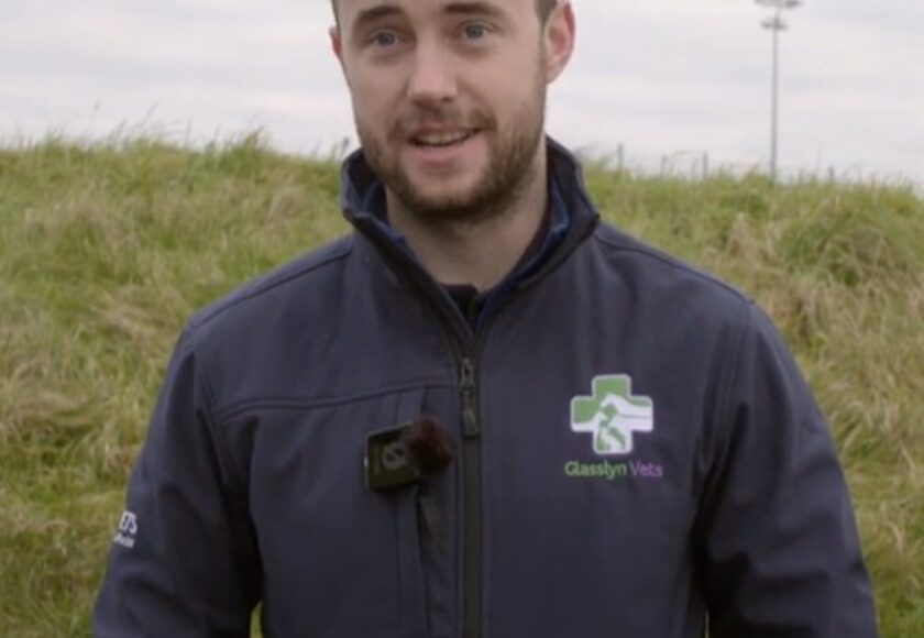 cathal