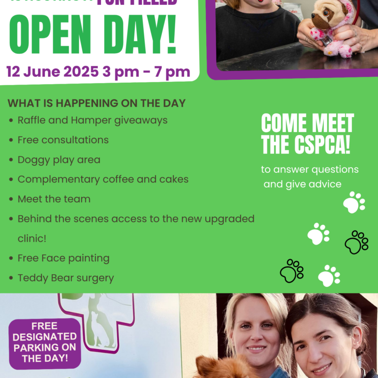 MUSKERRY VETS OPEN DAY (1)