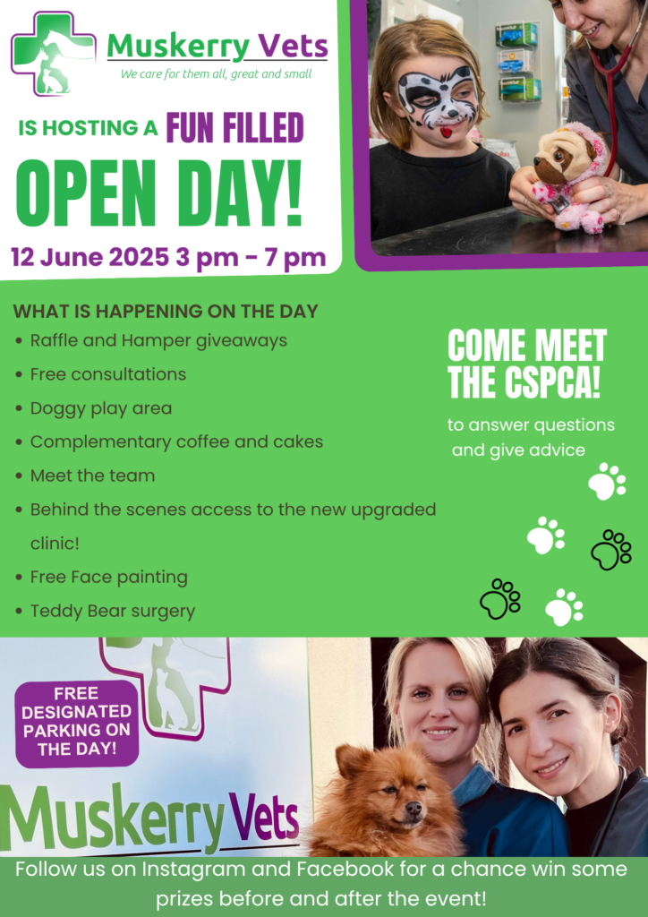 MUSKERRY VETS OPEN DAY (1)