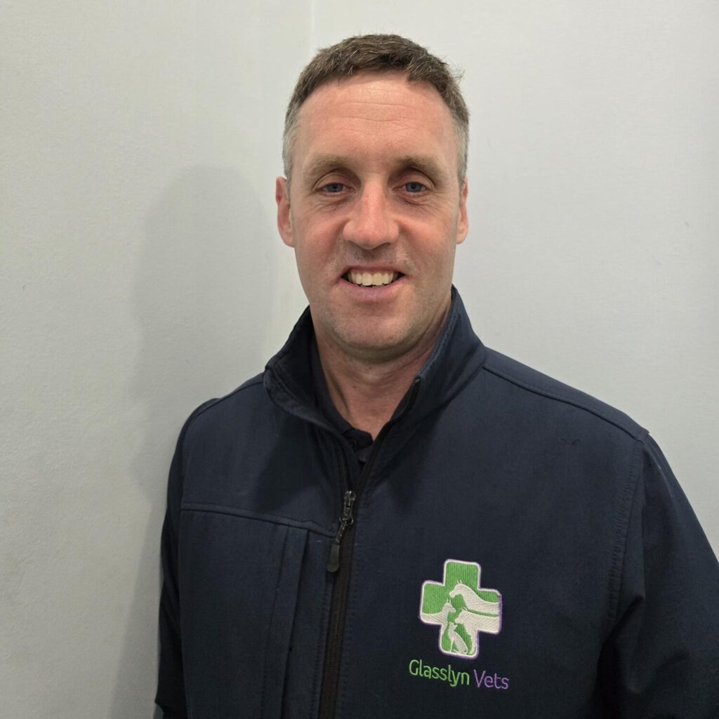 John Nyhan (Director)