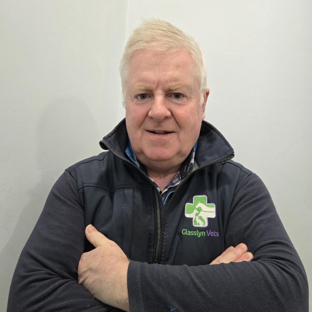 David Mc Laughlin (Director) 