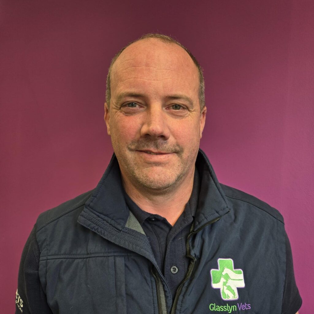 Kevin O Sullivan (Director)