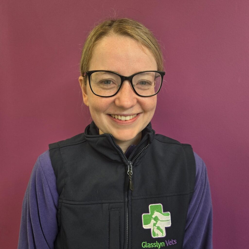 Ellen Quinlan Bartley 