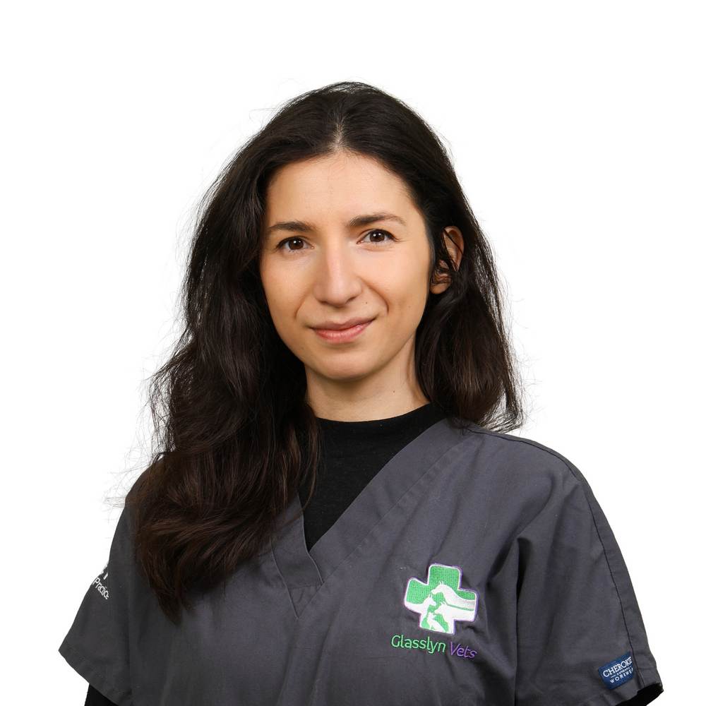 Barbara Kajtarova
