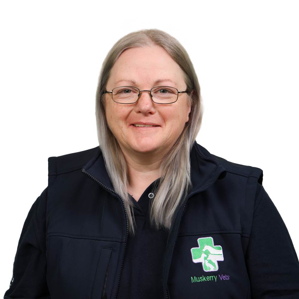 CLAIRE O RIORDAN