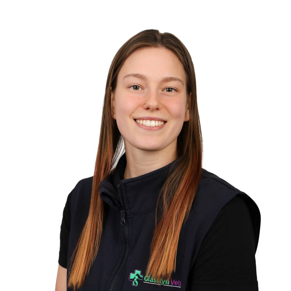 Anna Walsh 