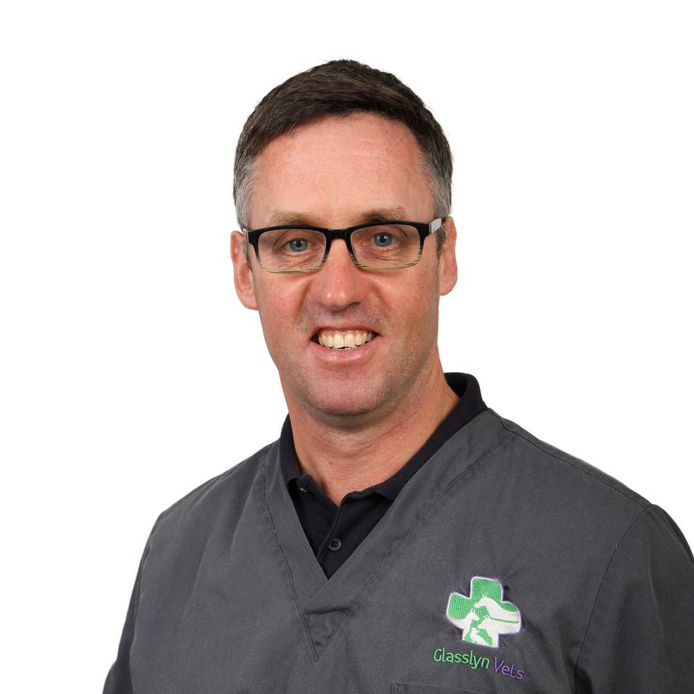John Nyhan (Director)