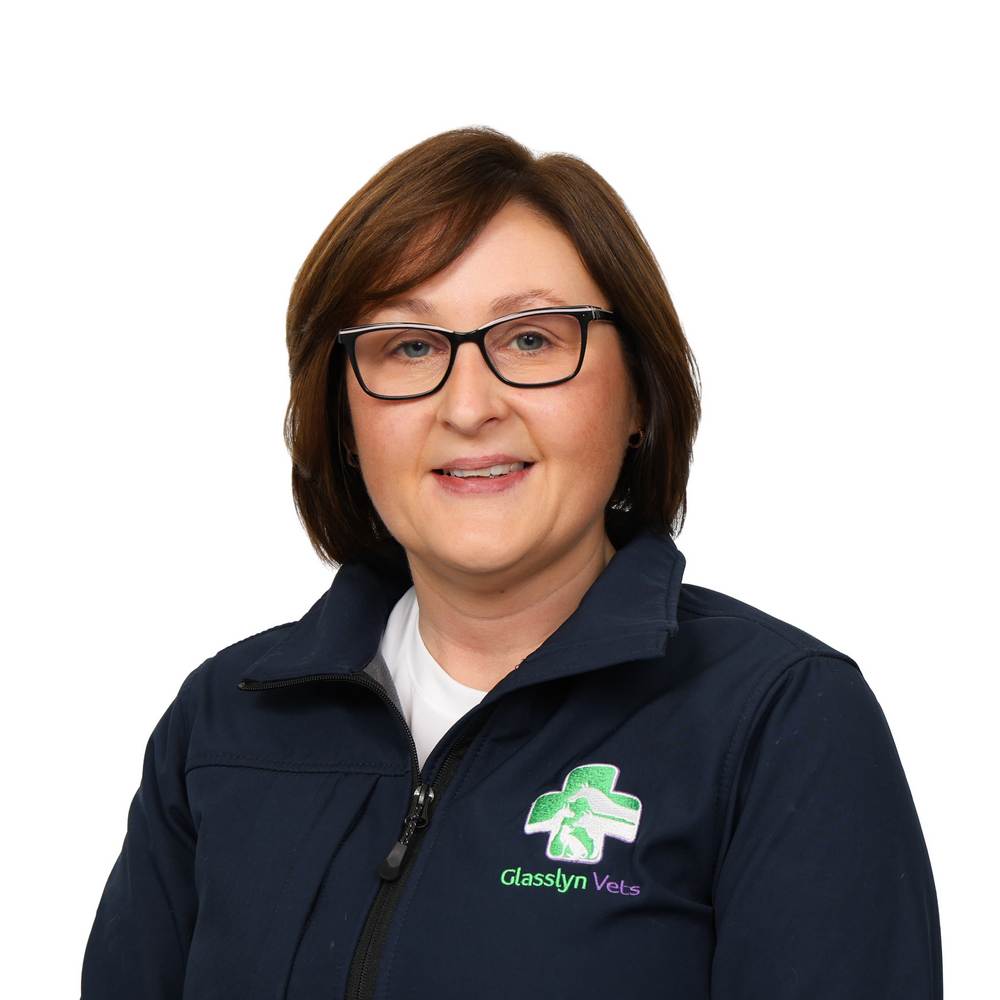 Anne-Marie Healy