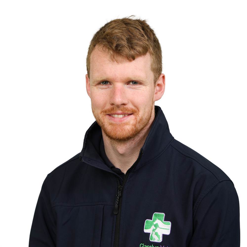 John O Mahony 