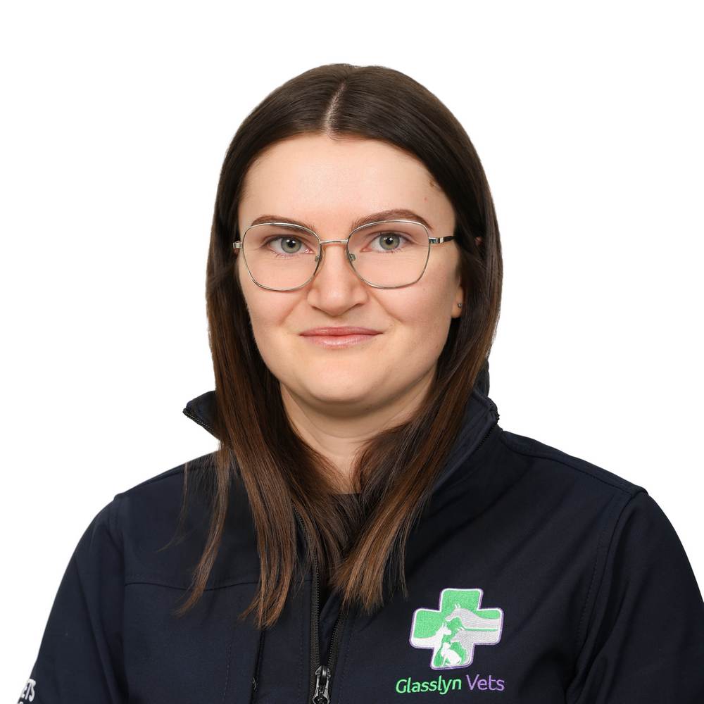 Megan Jennings 