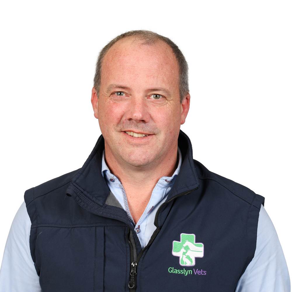 Kevin O Sullivan (Director)