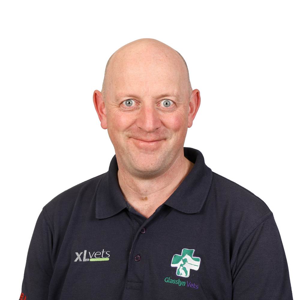 John Healy (Director)