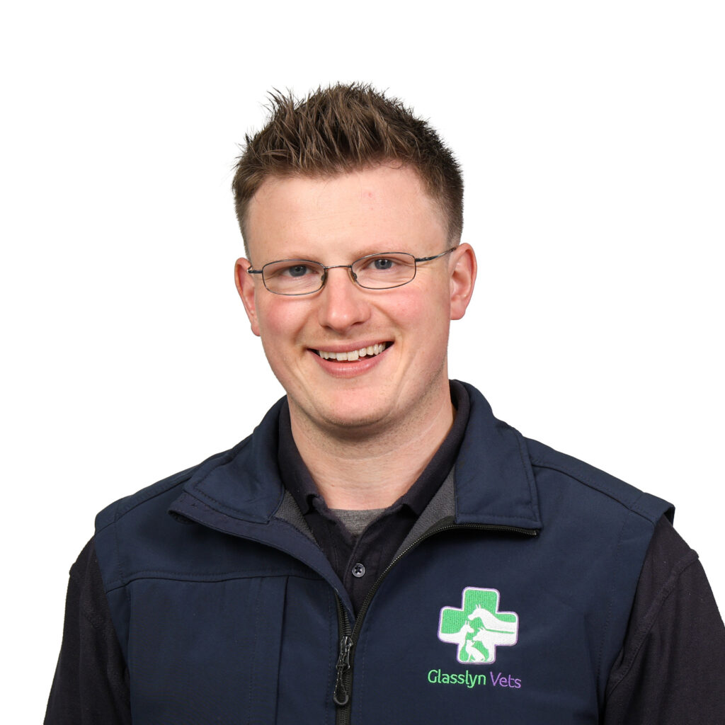 Sean O Neill 