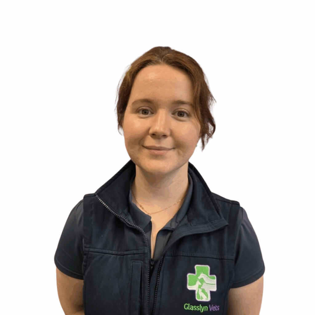 Amy Smyth