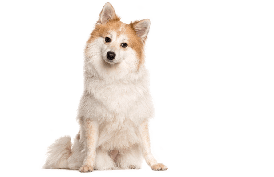 img-10.png