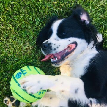 murphy-e1638278600677.jpg
